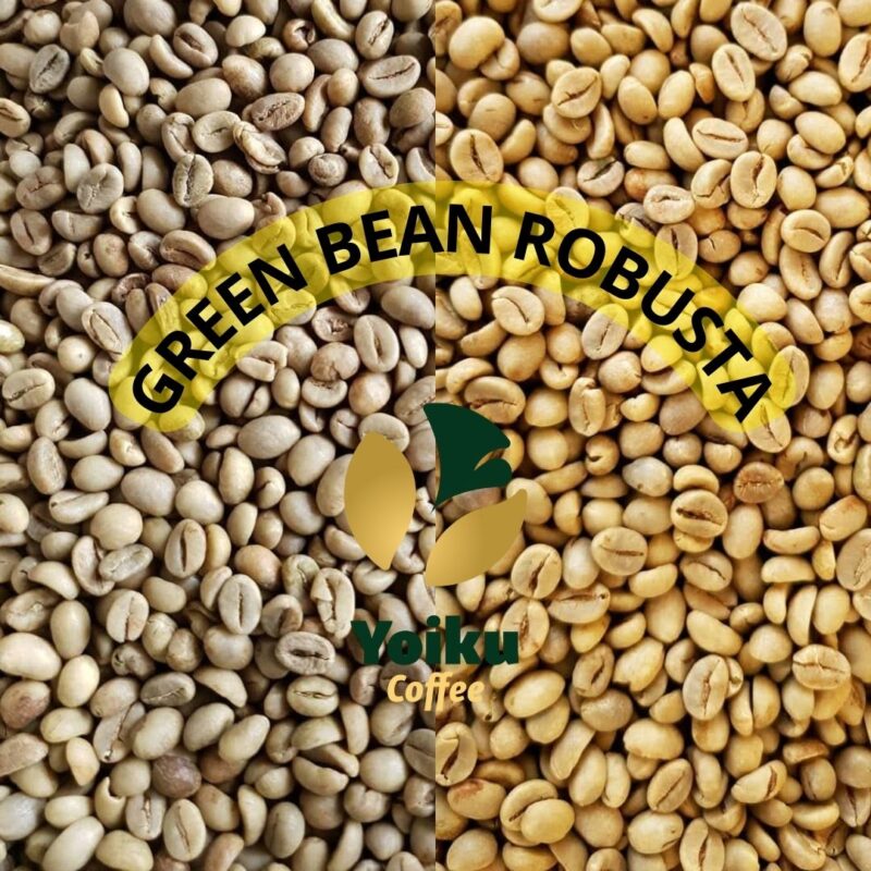 Robusta Green Coffee Beans