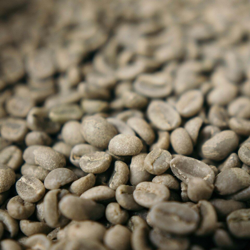 coffee beans close-up photography
